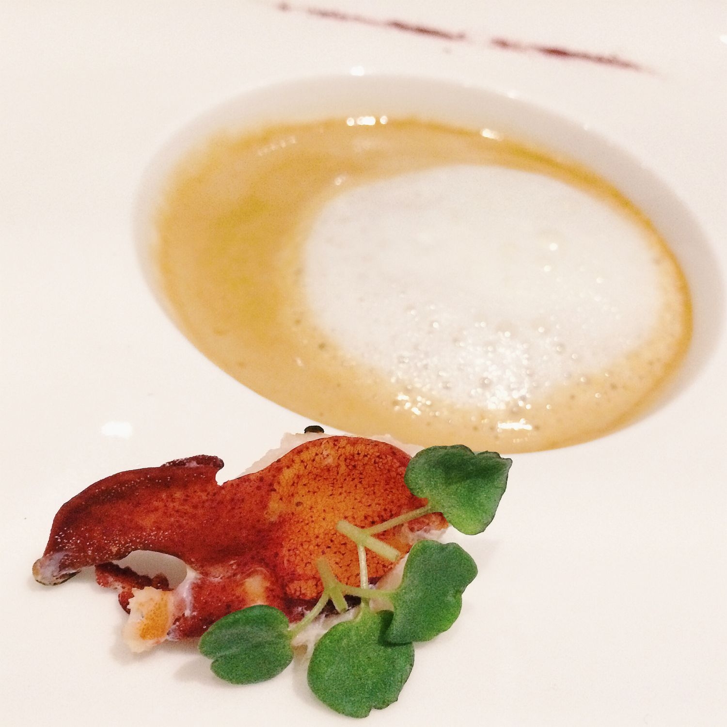 Lobster Cappuccino & Brandy - Violet Herbs