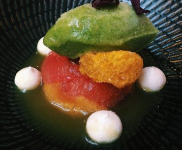 Grapefruit Dome - Concetto