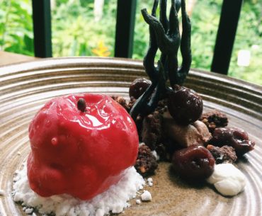 Snow White in the Blackforest - Halia (Singapore Botanic Gardens)