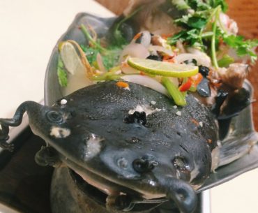 Thai Walking Catfish with Spicy Lemon Soup