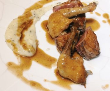 Pigeon - La Ventana Singapore