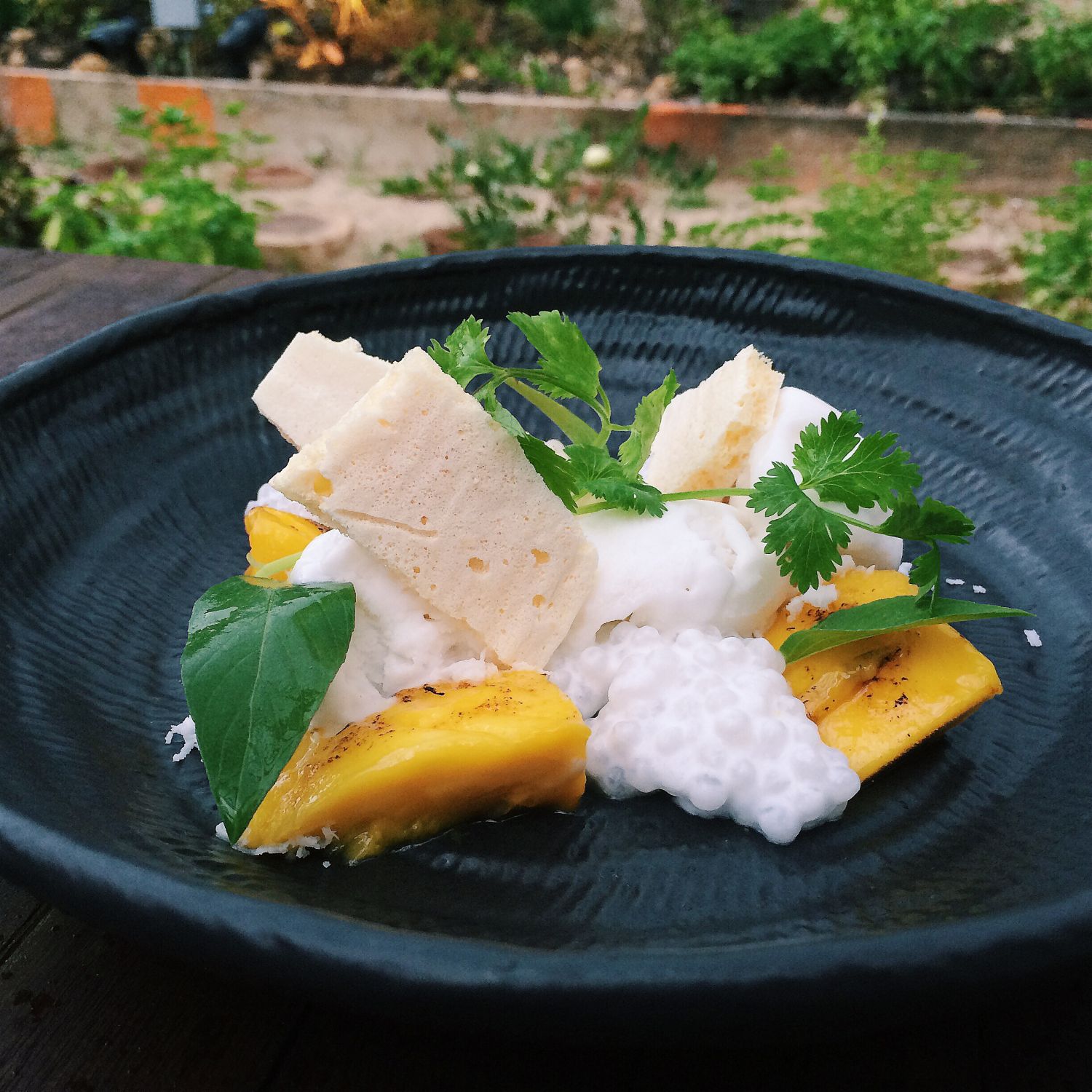 Caramelised Mango with Textures of Coconut - Open Farm Community