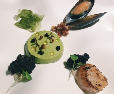 Ocean (ENSOPHI) - The Rabbit Stash