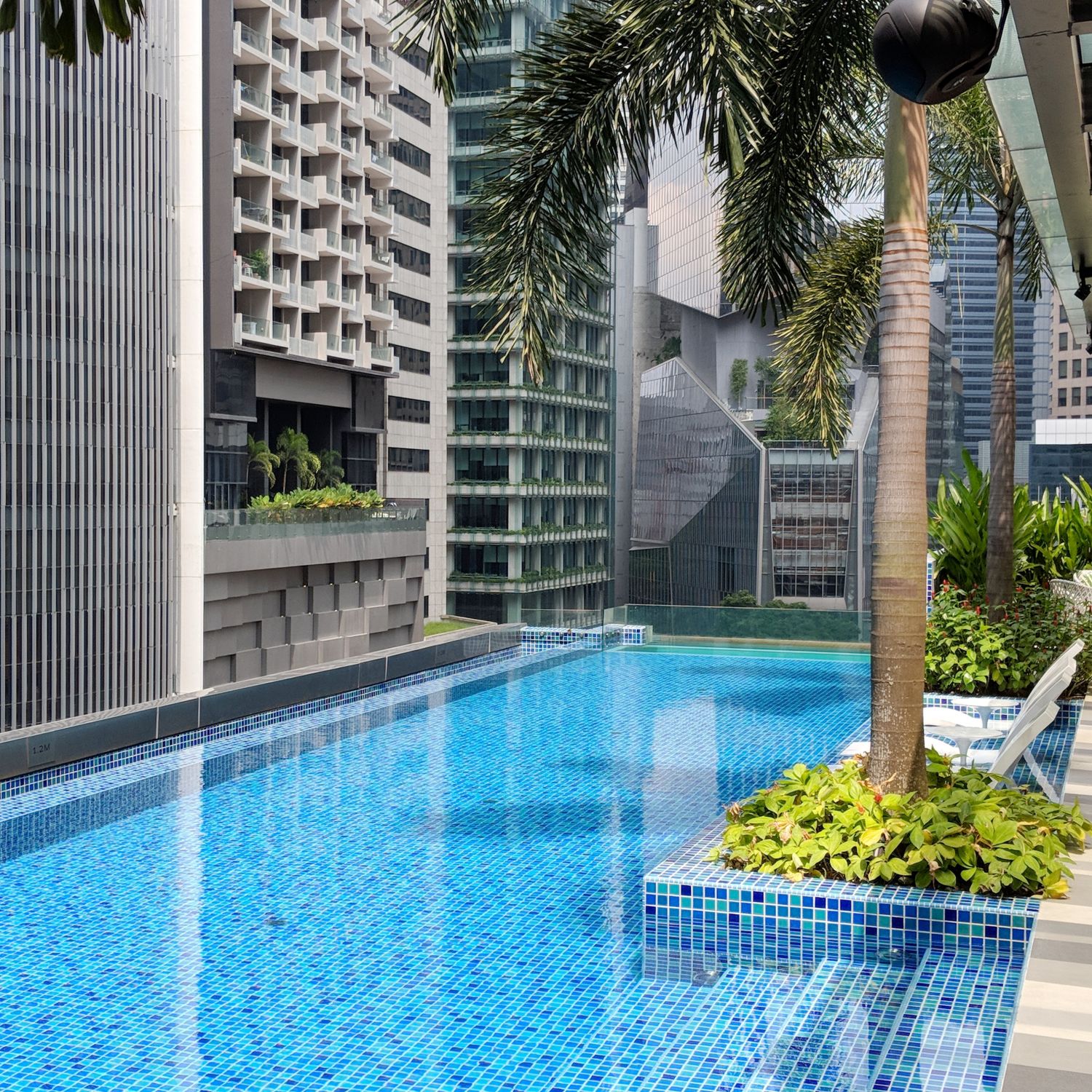 so sofitel singapore rooftop swimming pool