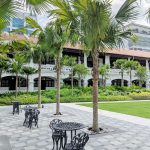 raffles hotel singapore palm court