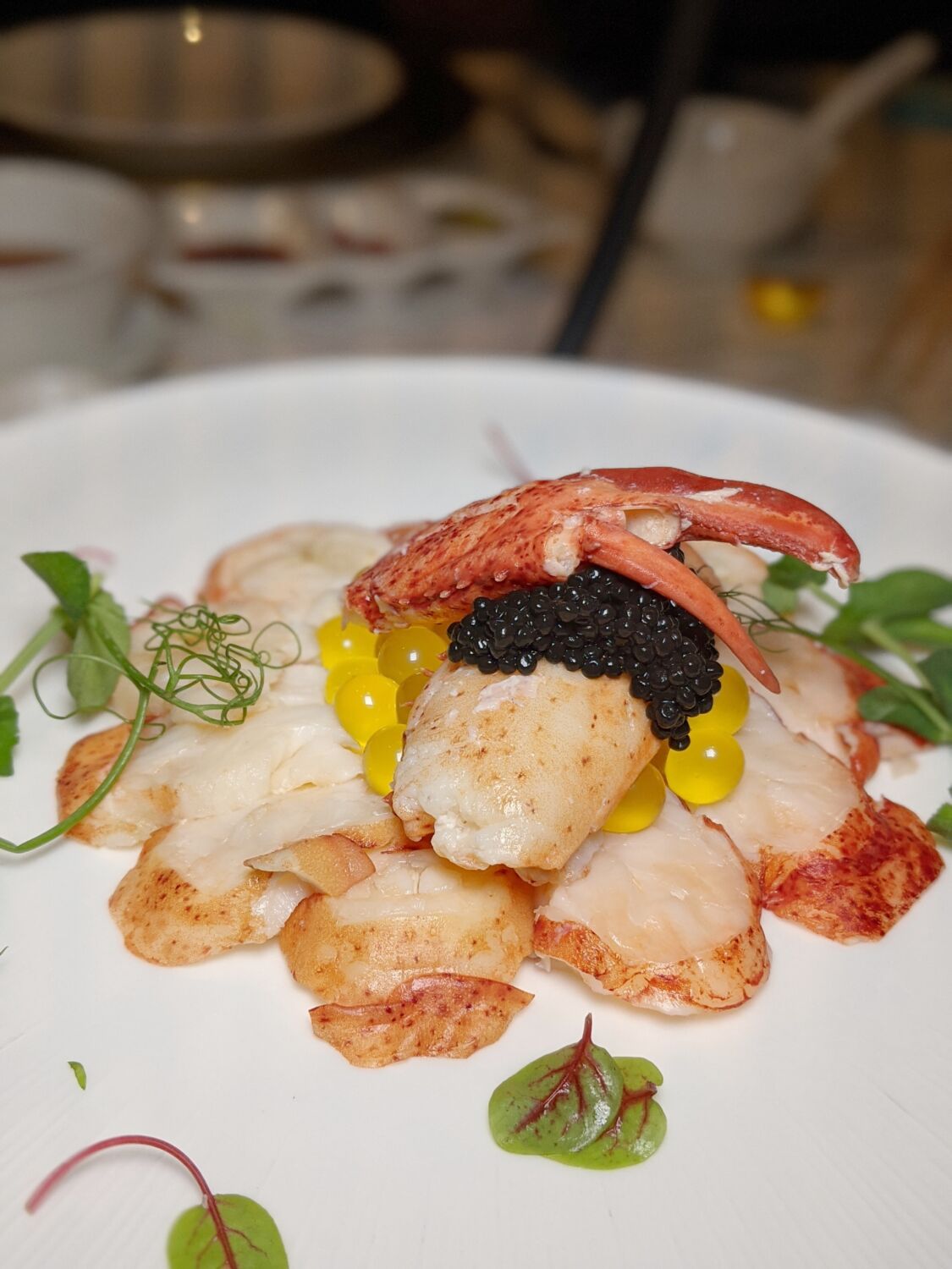Singapore Marriott Tang Plaza Hotel Wan Hao Chinese Restaurant Boston Lobster & Caviar Yu Sheng with Crispy Fish Skin
