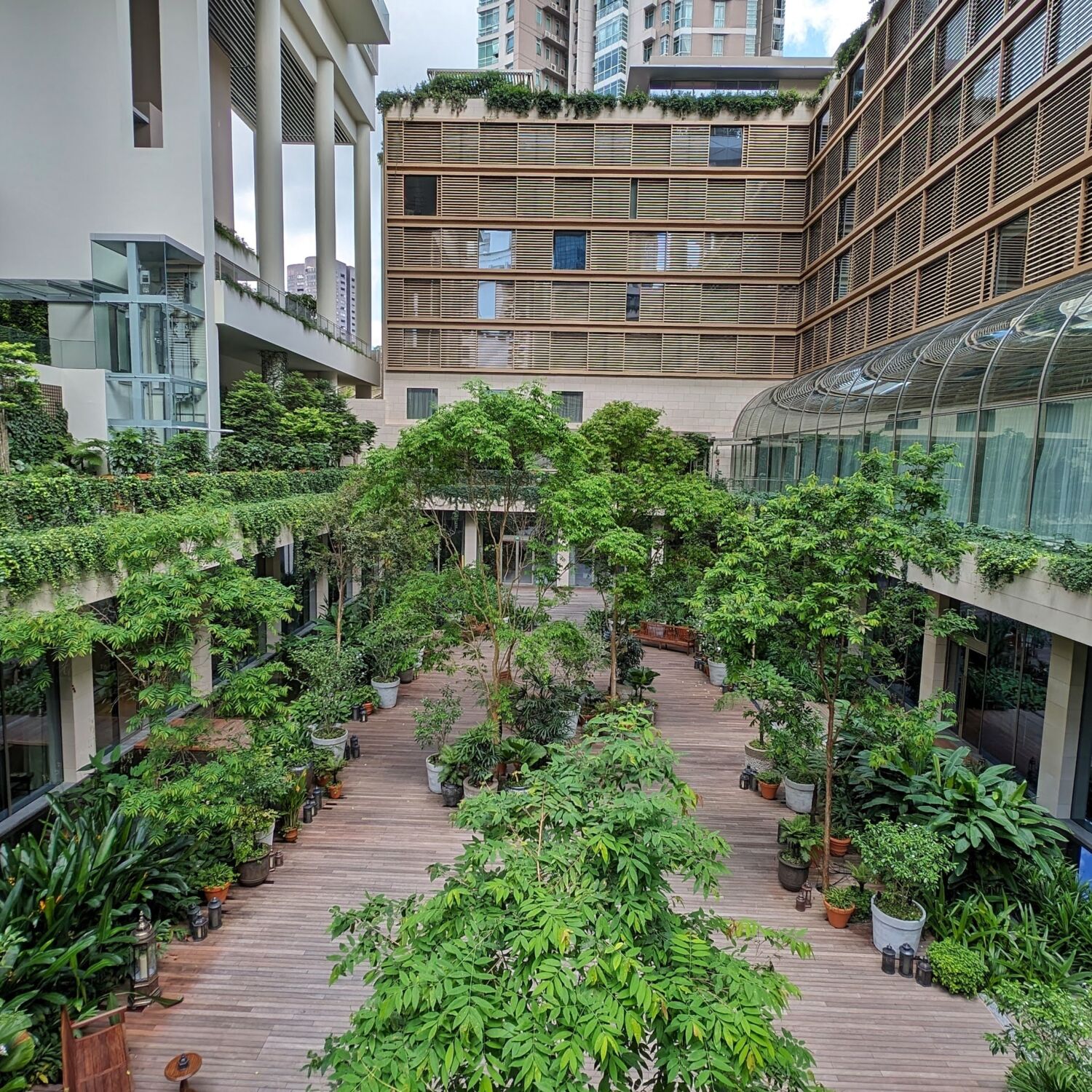 The Singapore EDITION FYSH at EDITION Garden Courtyard