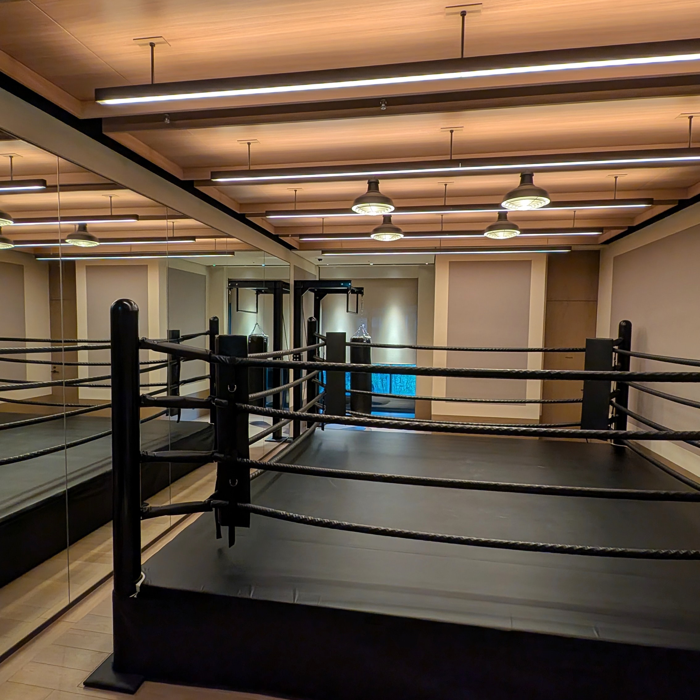 Janu Tokyo Janu Wellness Boxing Ring