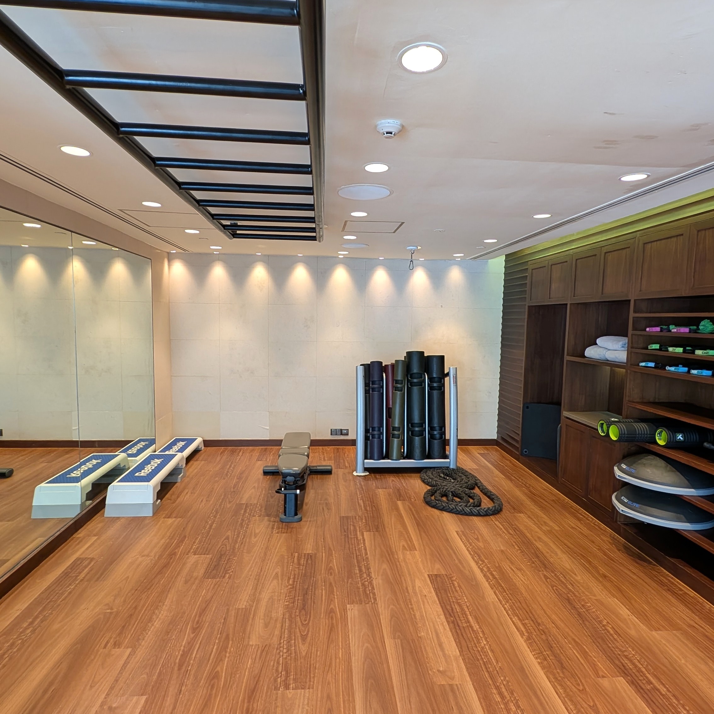 The Ritz-Carlton Millenia Singapore Fitness Centre