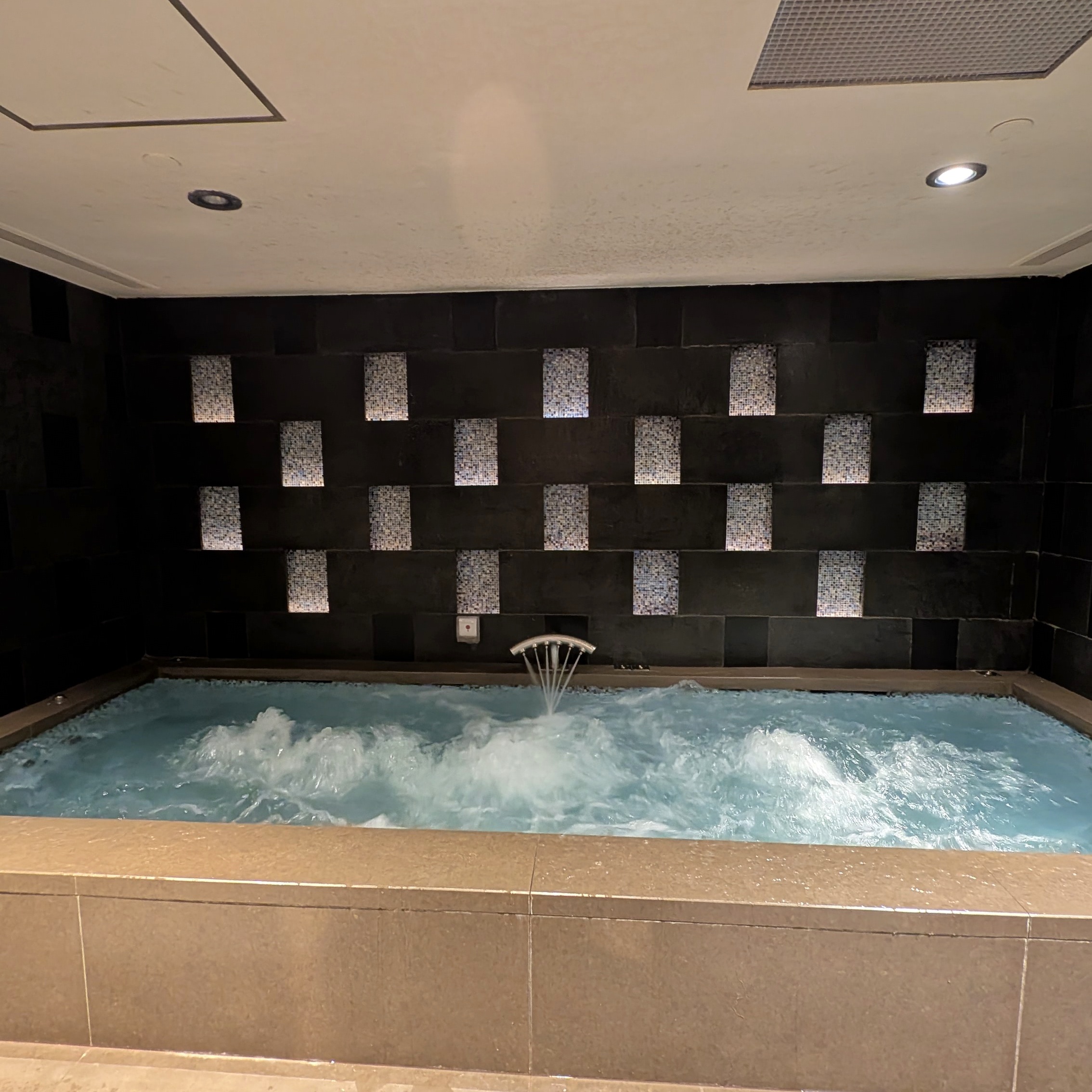 The Ritz-Carlton Millenia Singapore The Ritz-Carlton Spa, Whirlpool