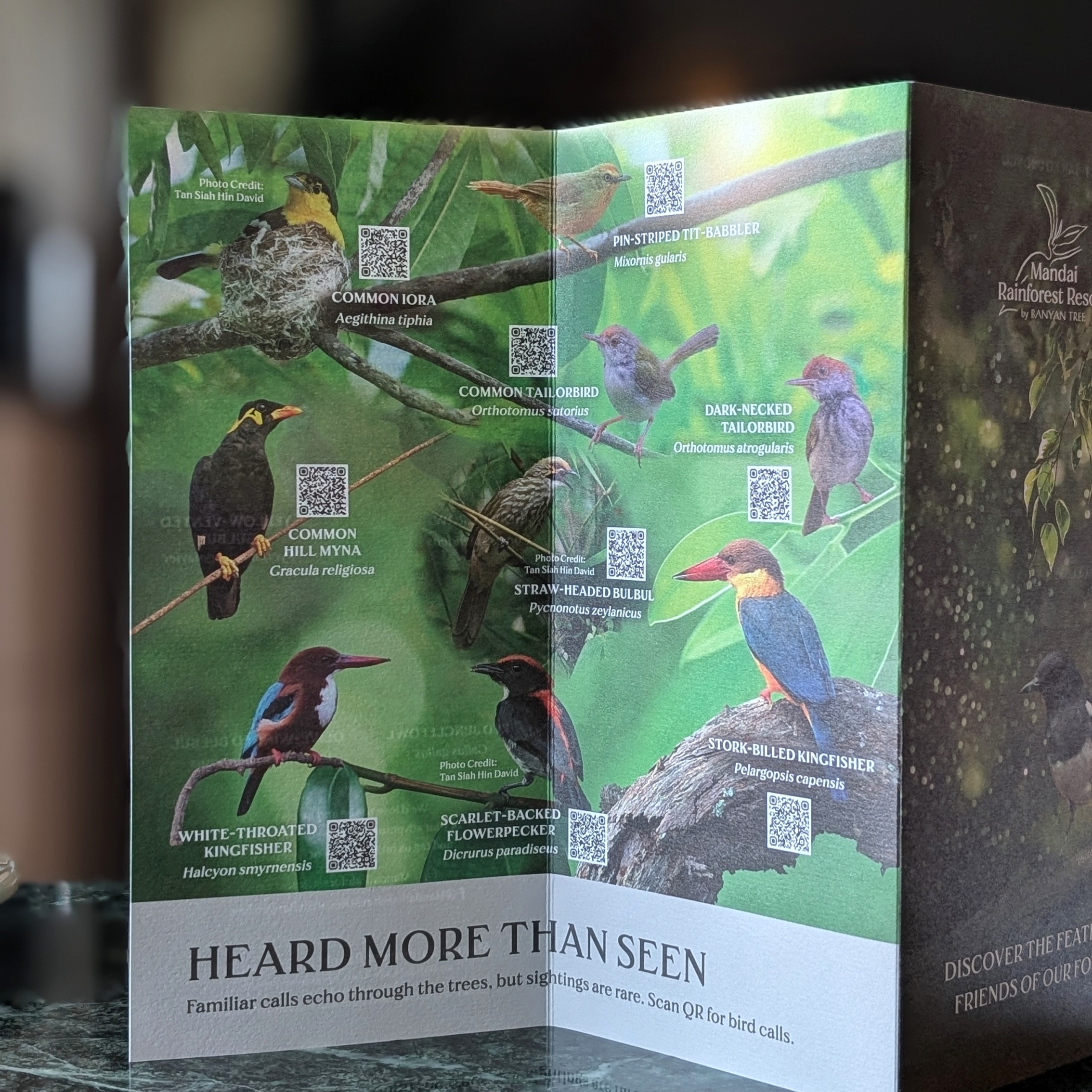 Mandai Rainforest Resort by Banyan Tree Resort Brochure