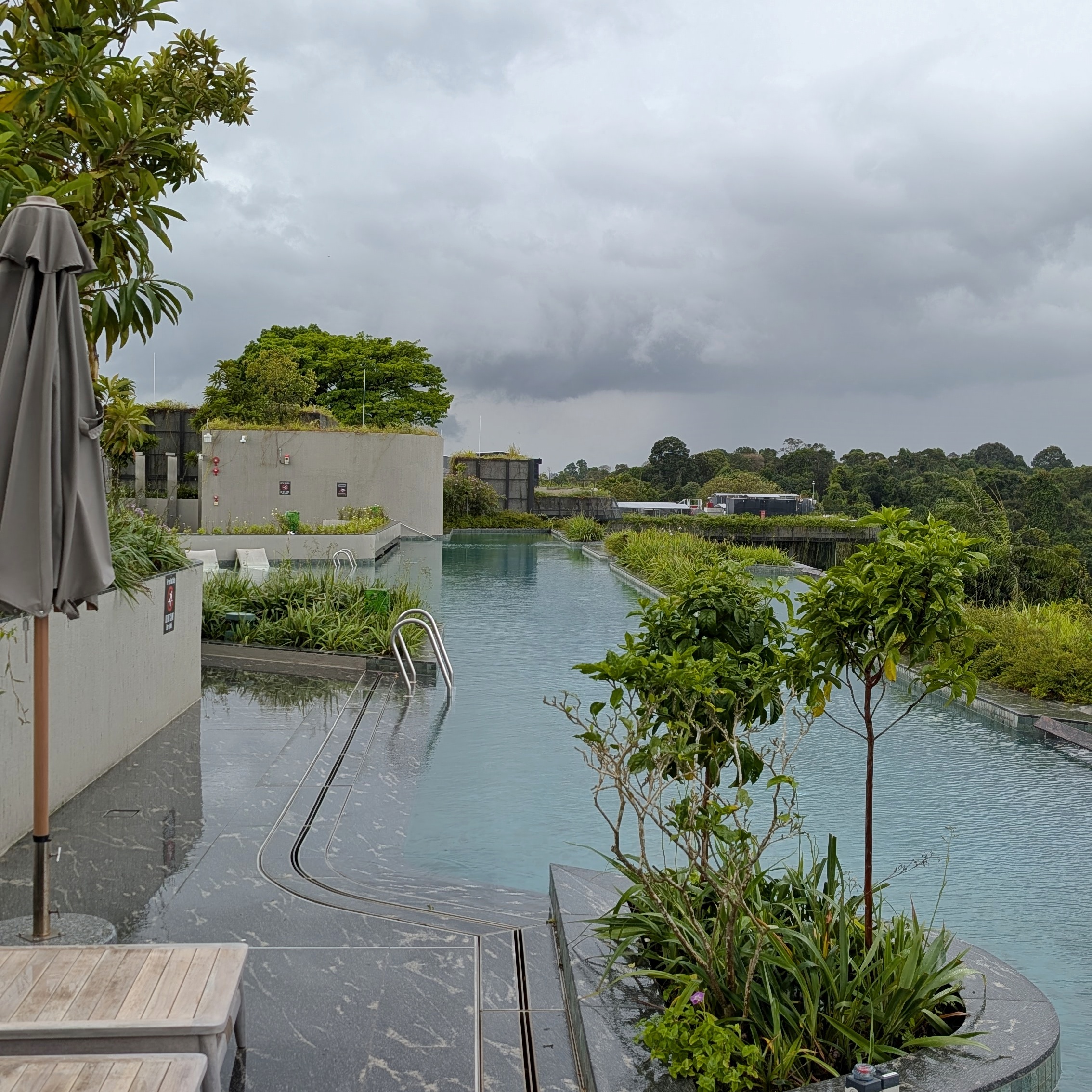 Mandai Rainforest Resort by Banyan Tree Rooftop Swimming Pool