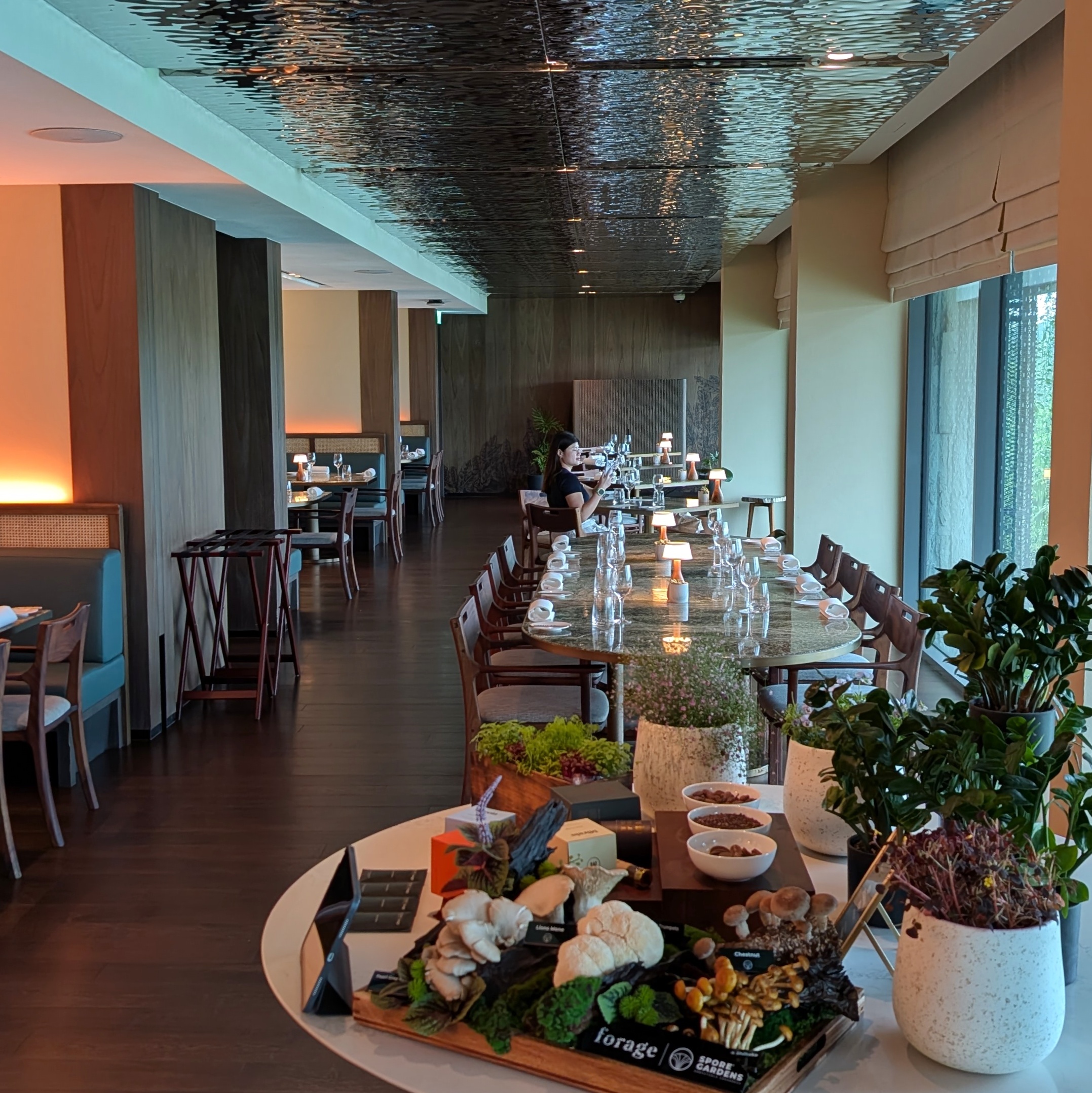 Mandai Rainforest Resort by Banyan Tree Forage