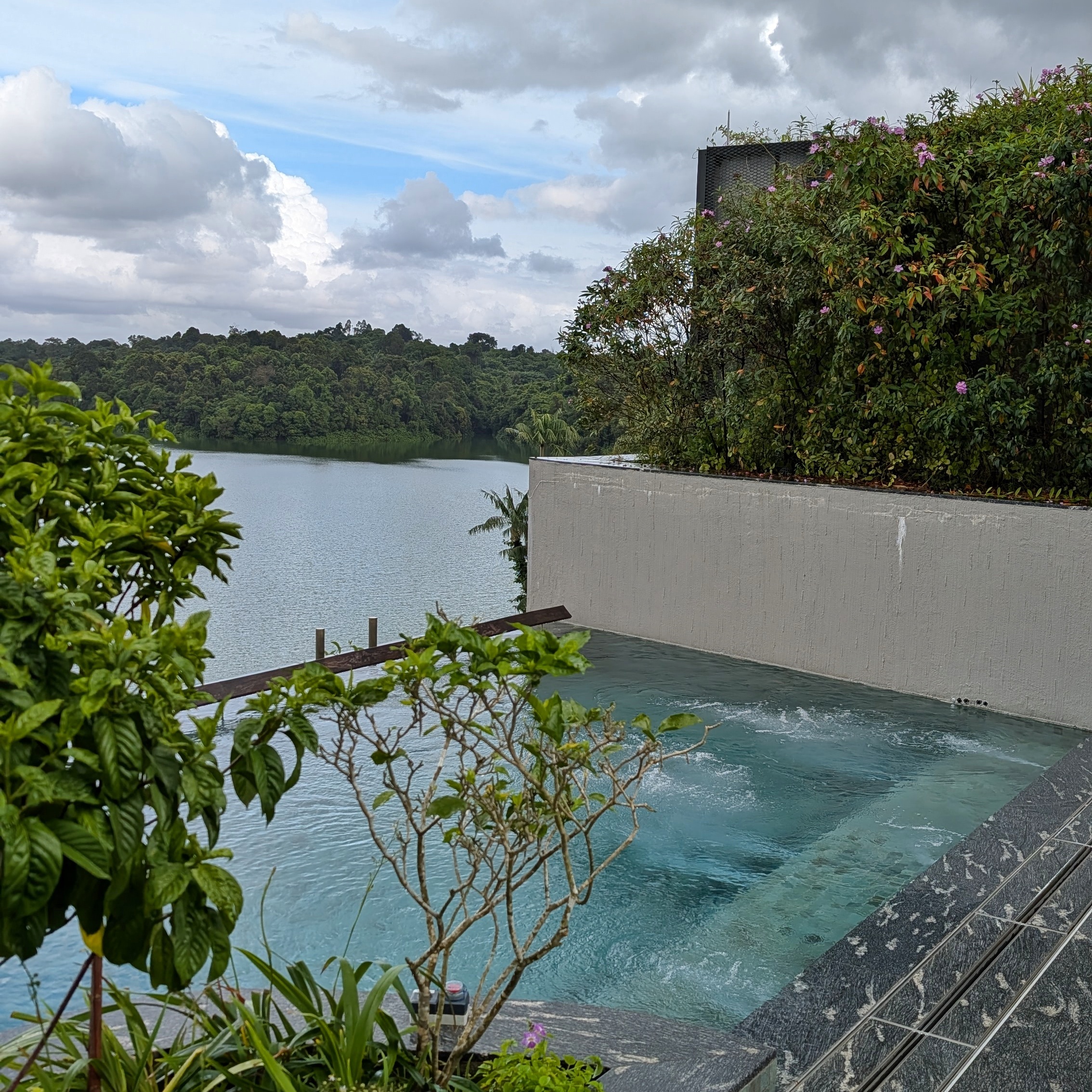 Mandai Rainforest Resort by Banyan Tree Rooftop Swimming Pool