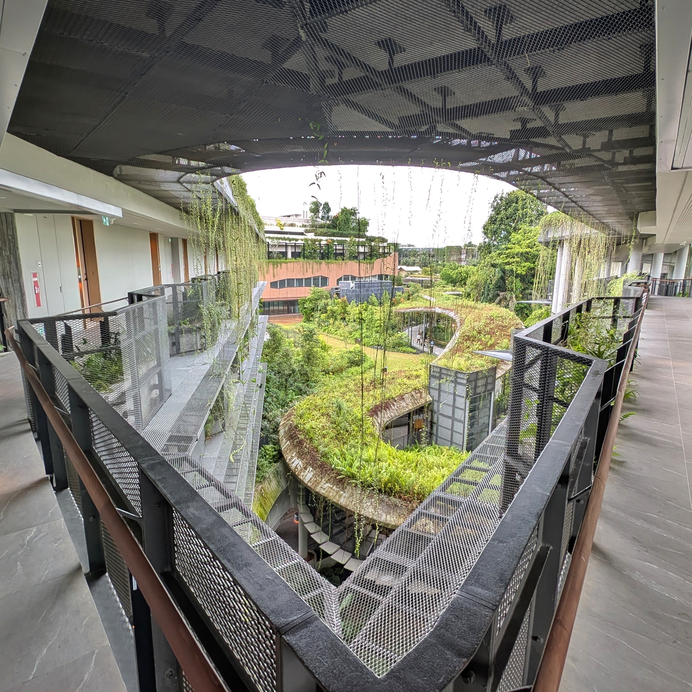 Mandai Rainforest Resort by Banyan Tree Guest Room Walkways
