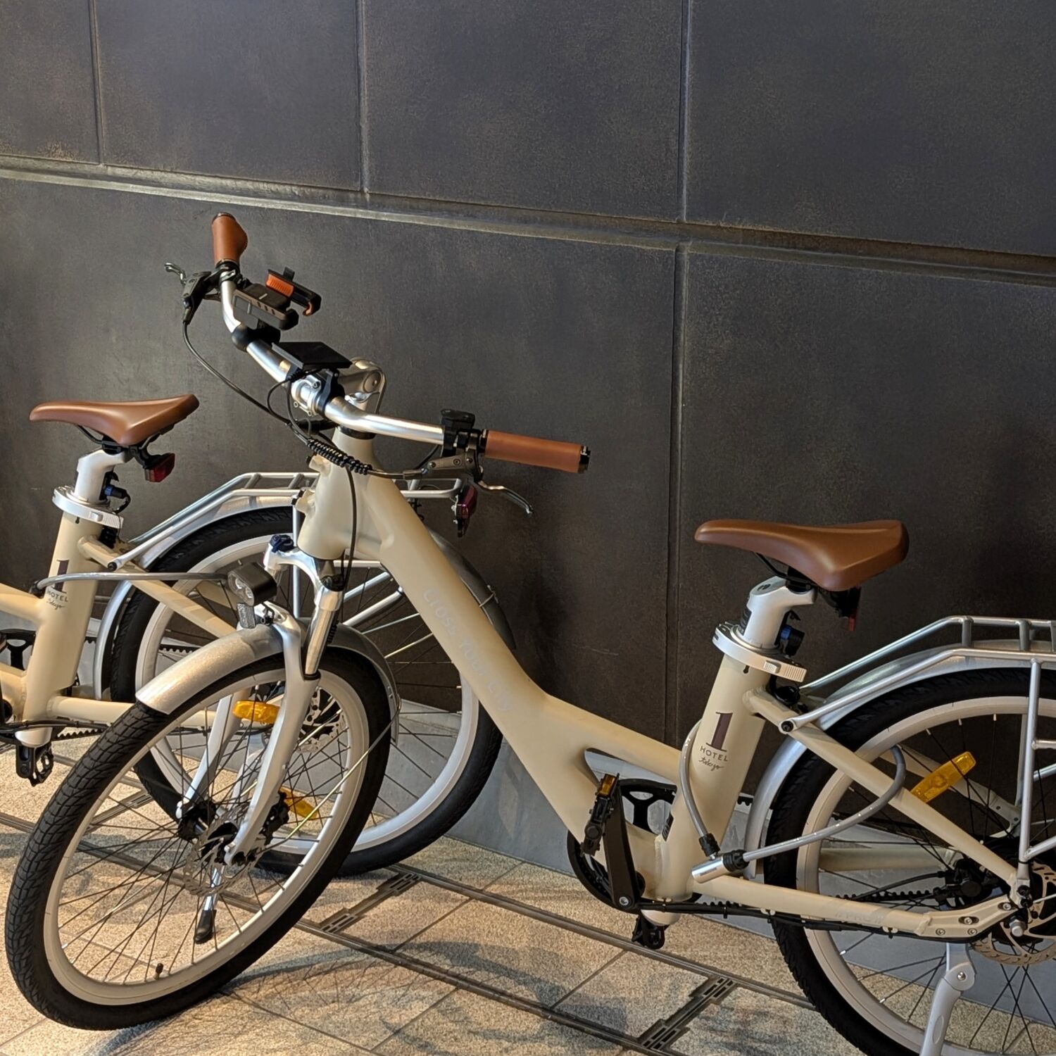 1 Hotel Tokyo Rentable Bike