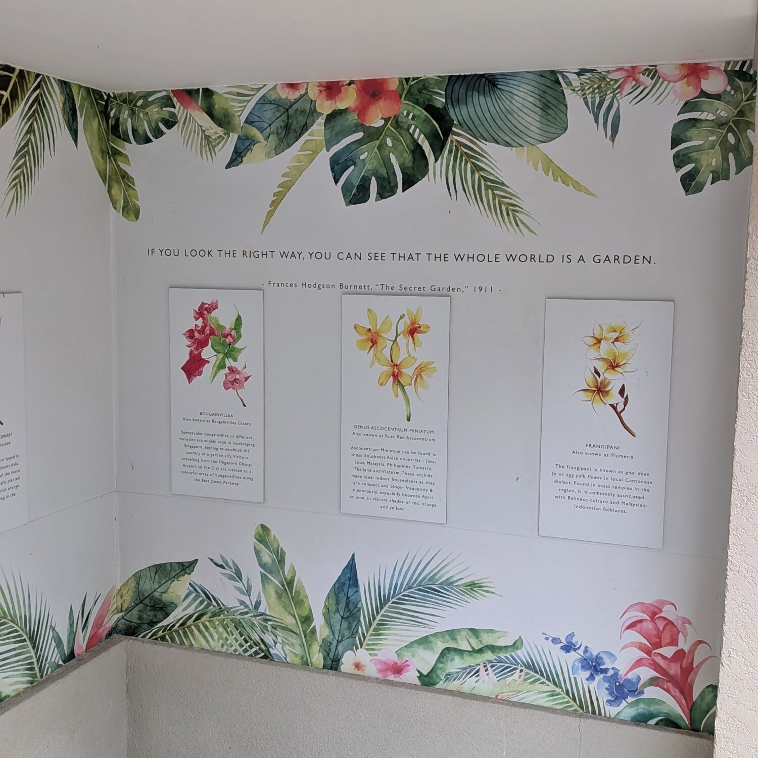 Orchard Rendezvous Hotel Singapore Orchid Garden Infographics