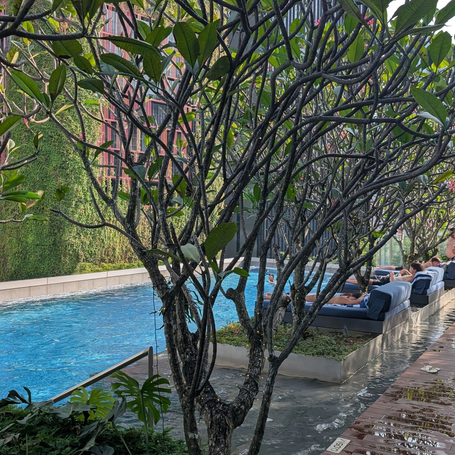 Sofitel Singapore City Centre Swimming Pool