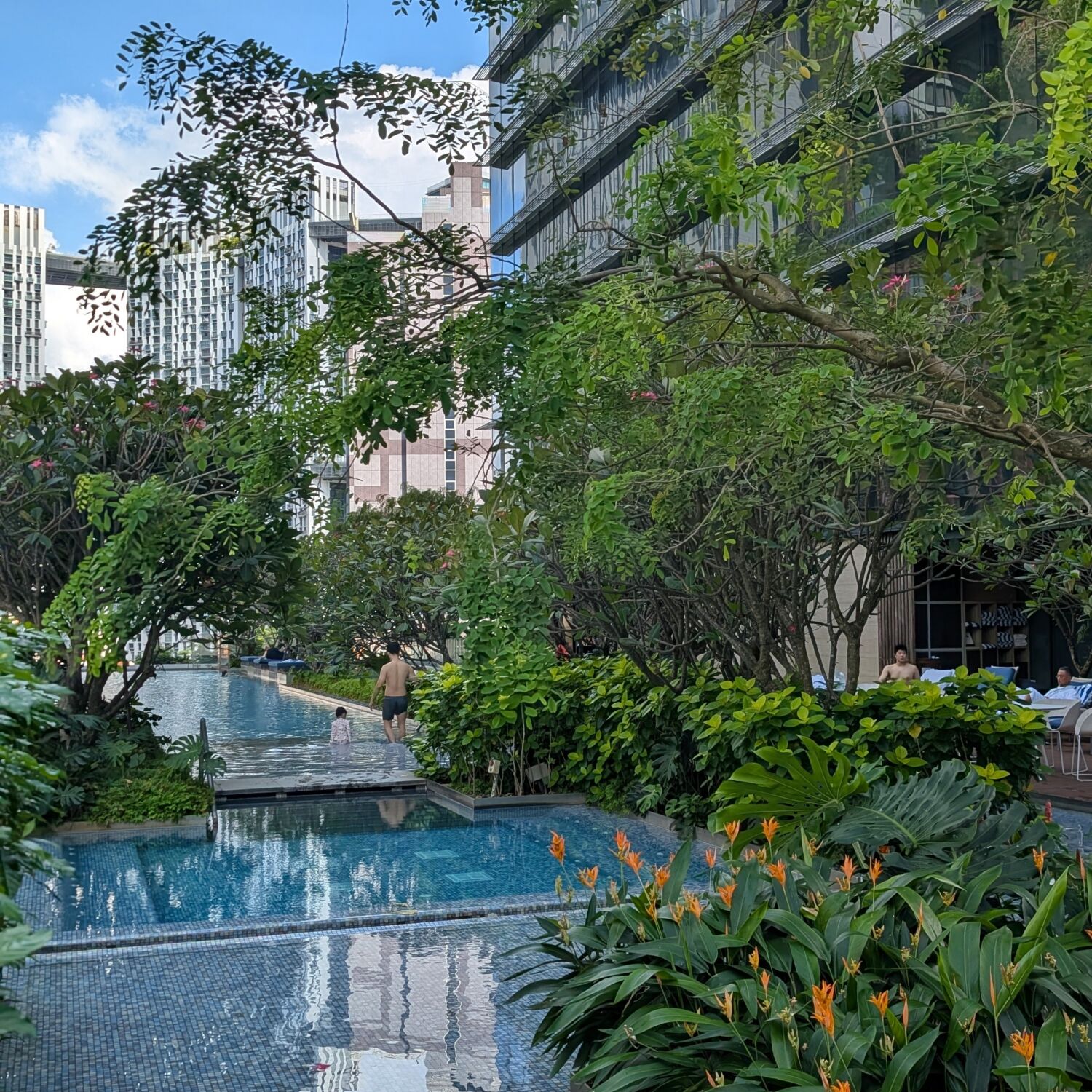 Sofitel Singapore City Centre Swimming Pool